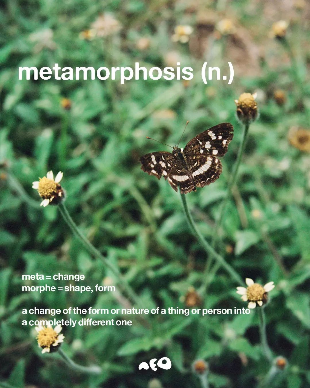Thumbnail of Found on Cosmos