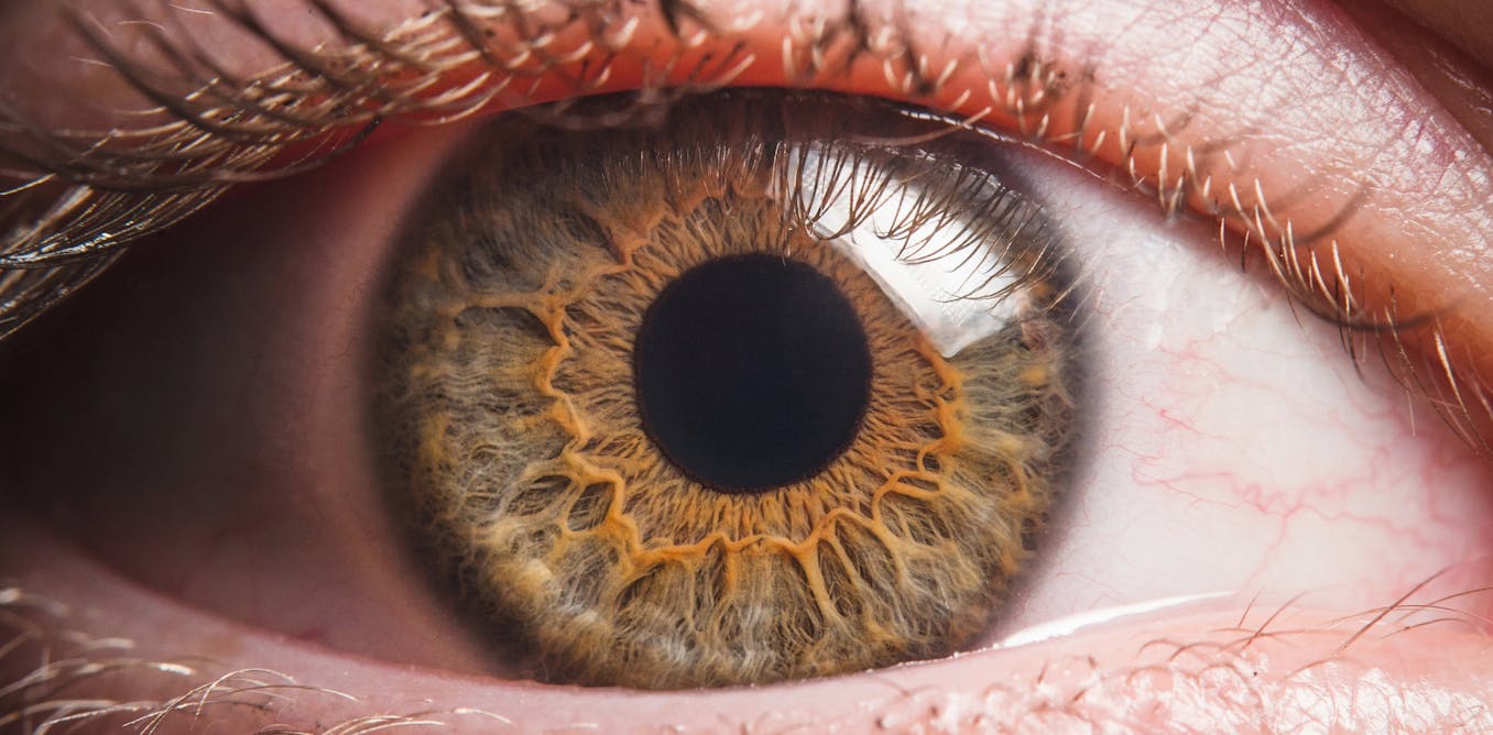 Thumbnail of Nobody knows how consciousness works – but top researchers are fighting over which theories are really science