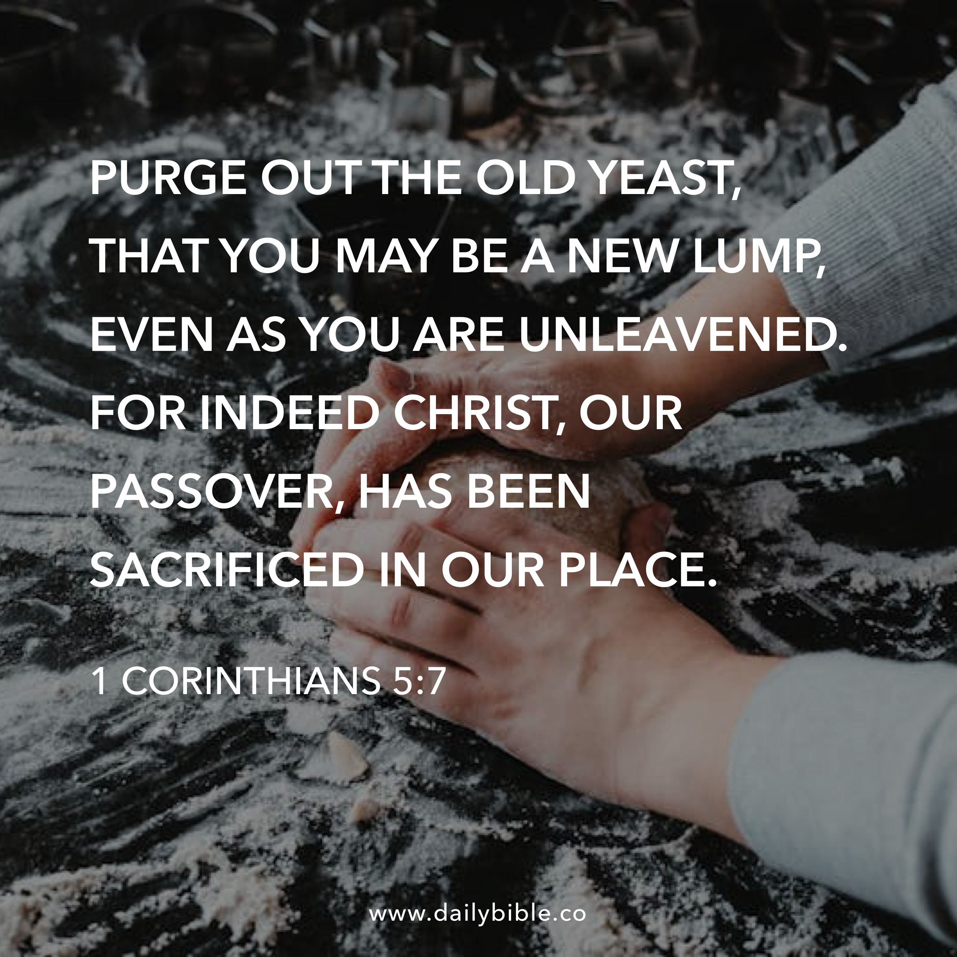 Preview of 6462be17aa9b-jpg