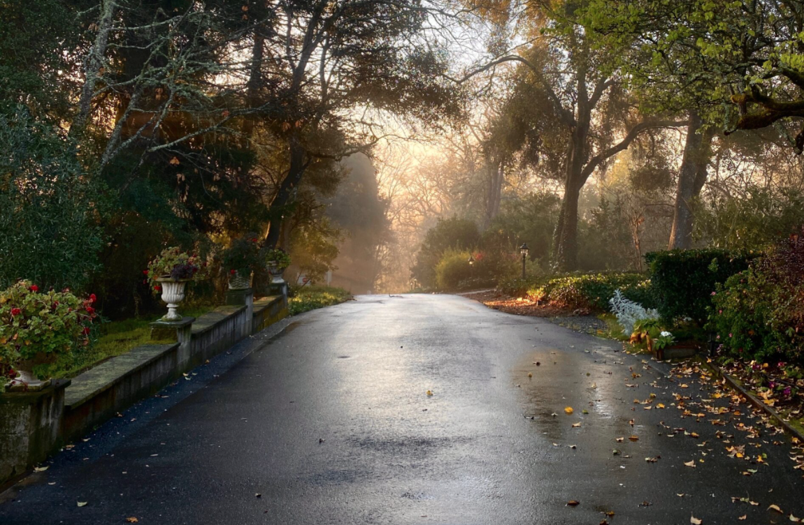 Thumbnail of The Madrona Hotel | Luxurious Rooms in Healdsburg, CA