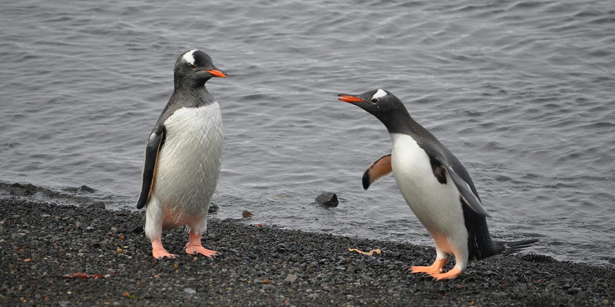 Thumbnail of How to Pick Your Battles: A Simple Framework for Addressing Issues at Work