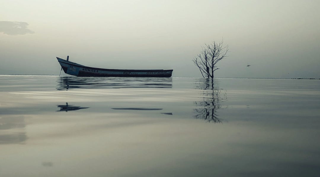 Thumbnail of THE FREEDOM OF NON-REACTIVITY