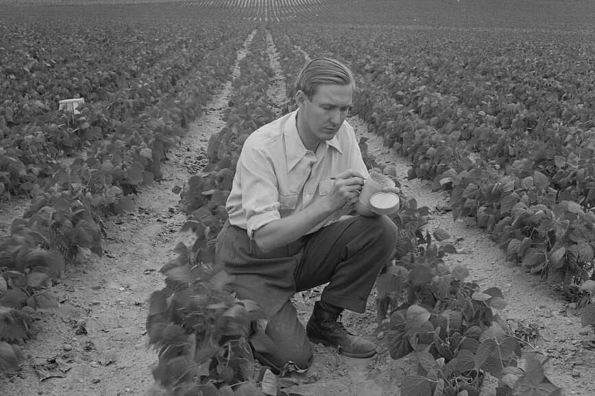 Thumbnail of A Memoir of Family Dysfunction Awash in Liquor and Leafy Greens