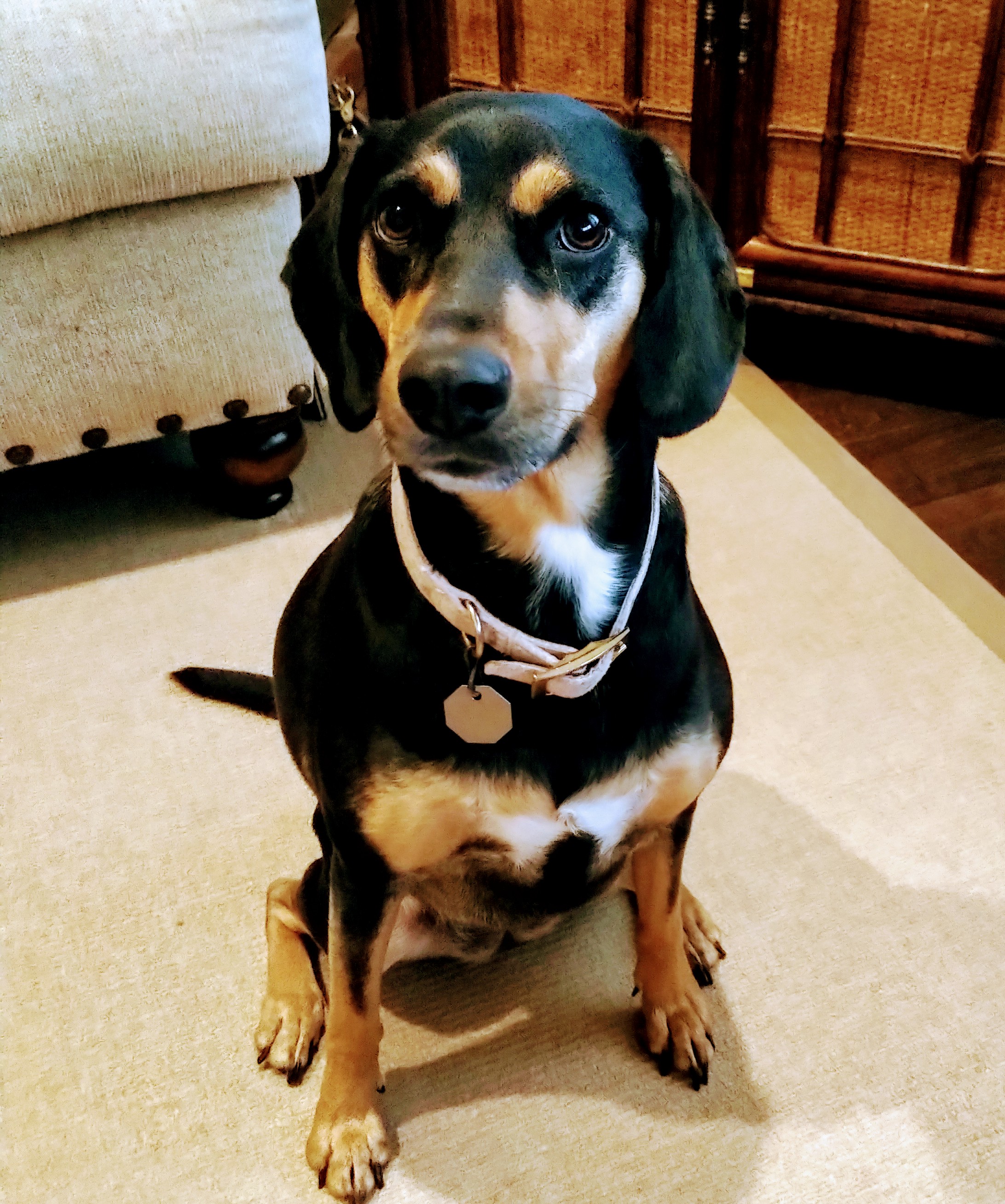 Thumbnail of Stay in the Game