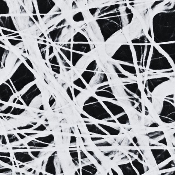 Thumbnail of Introducing: Connective Tissue