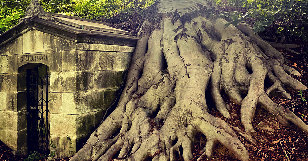 Thumbnail of Richard Dawkins on the Luckiness of Death