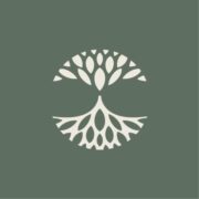 Thumbnail of Roots of Progress Institute
