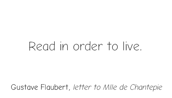 Preview of gustaveflaubert-png