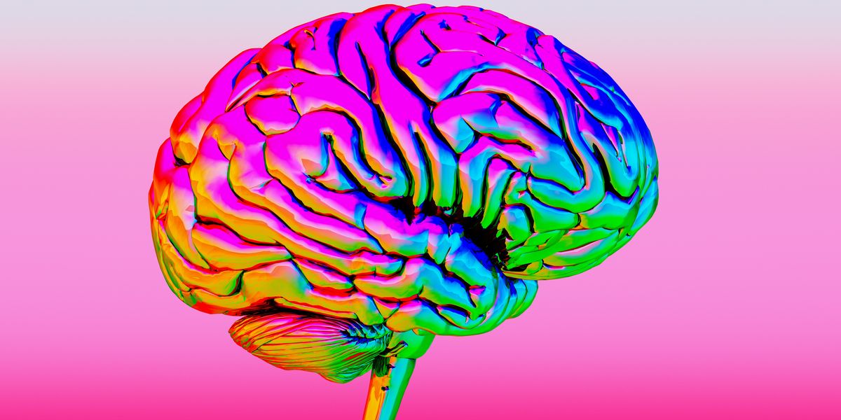 Thumbnail of This Brain Structure Could Be the Key to Understanding Consciousness, Scientists Say
