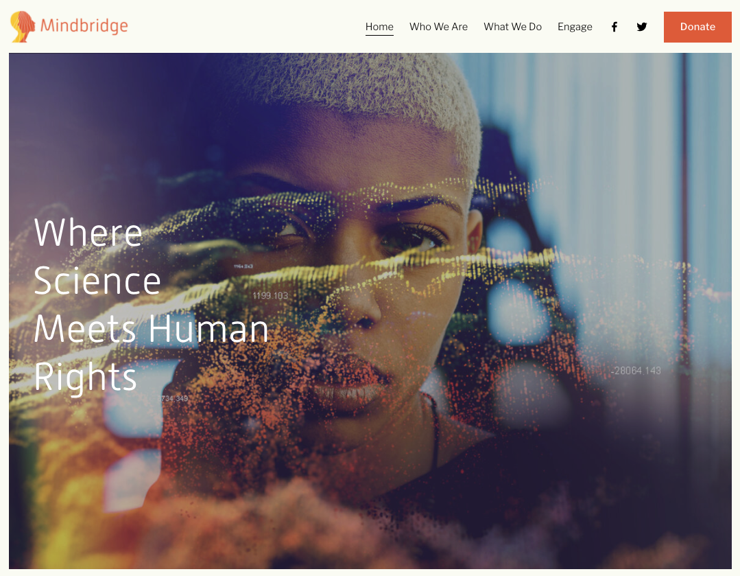 Thumbnail of Mindbridge