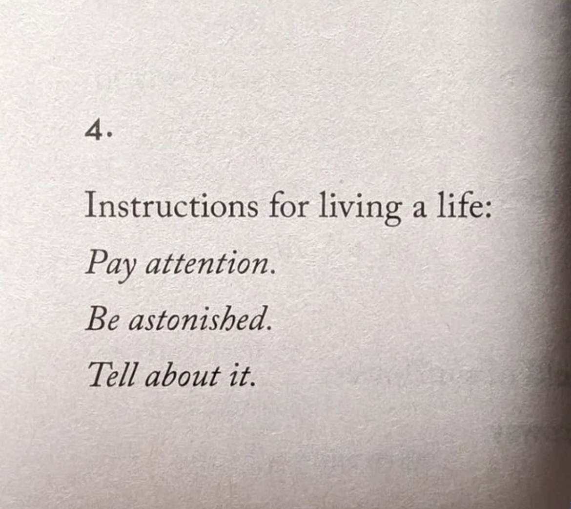 Thumbnail of Sublime