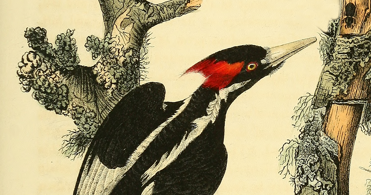 Thumbnail of How Not to Waste Your Life