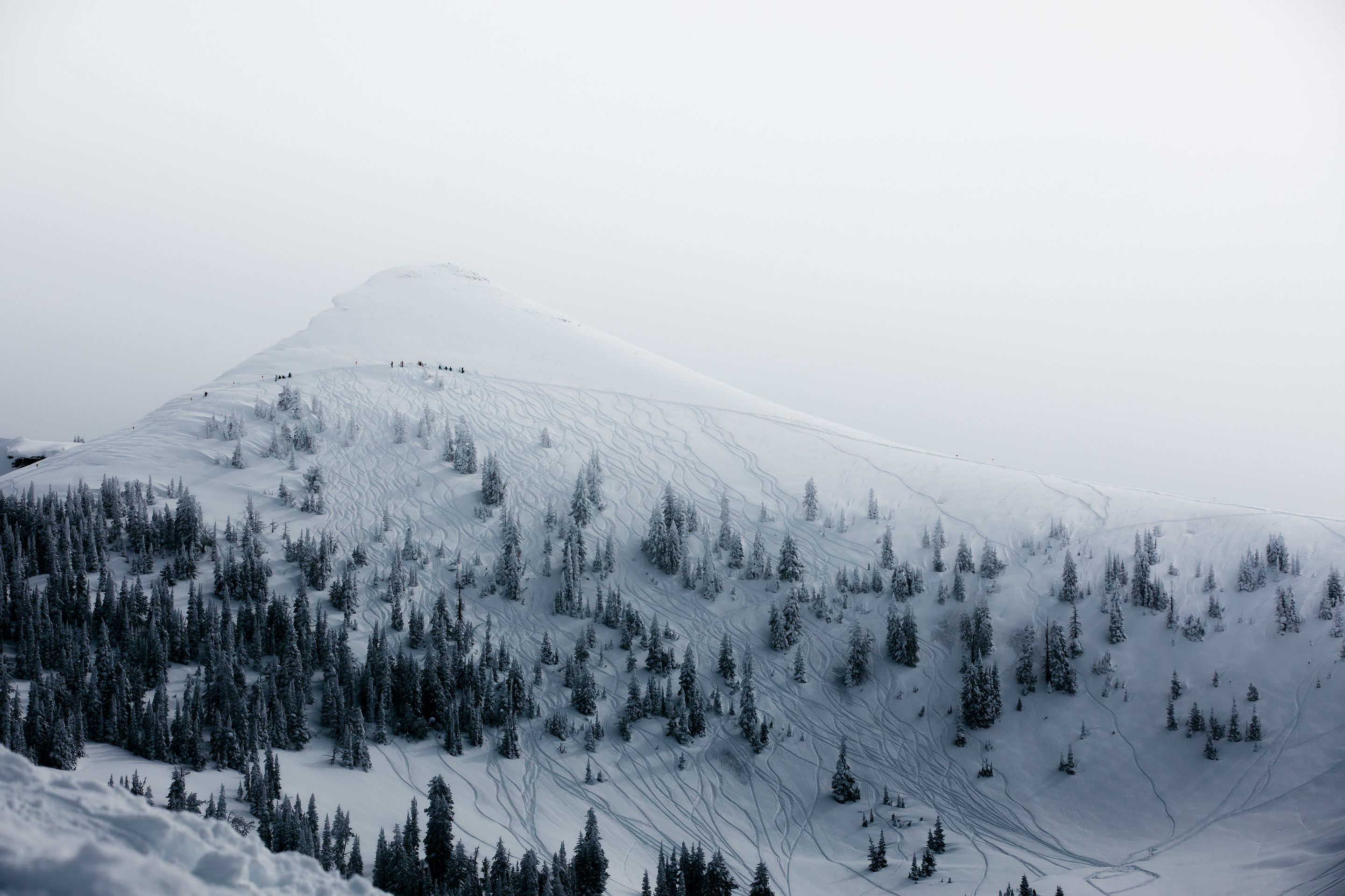 Preview of unsplash-jpg-cc45