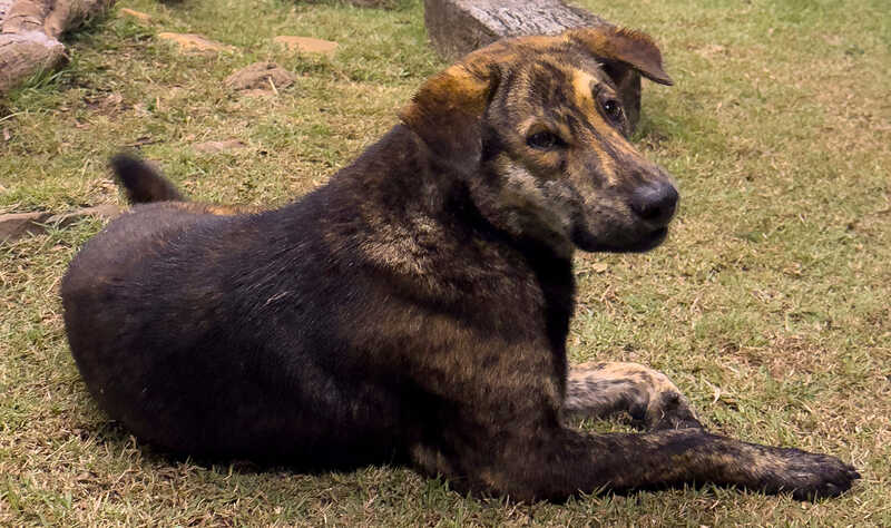 Thumbnail of walk and talk | Derek Sivers