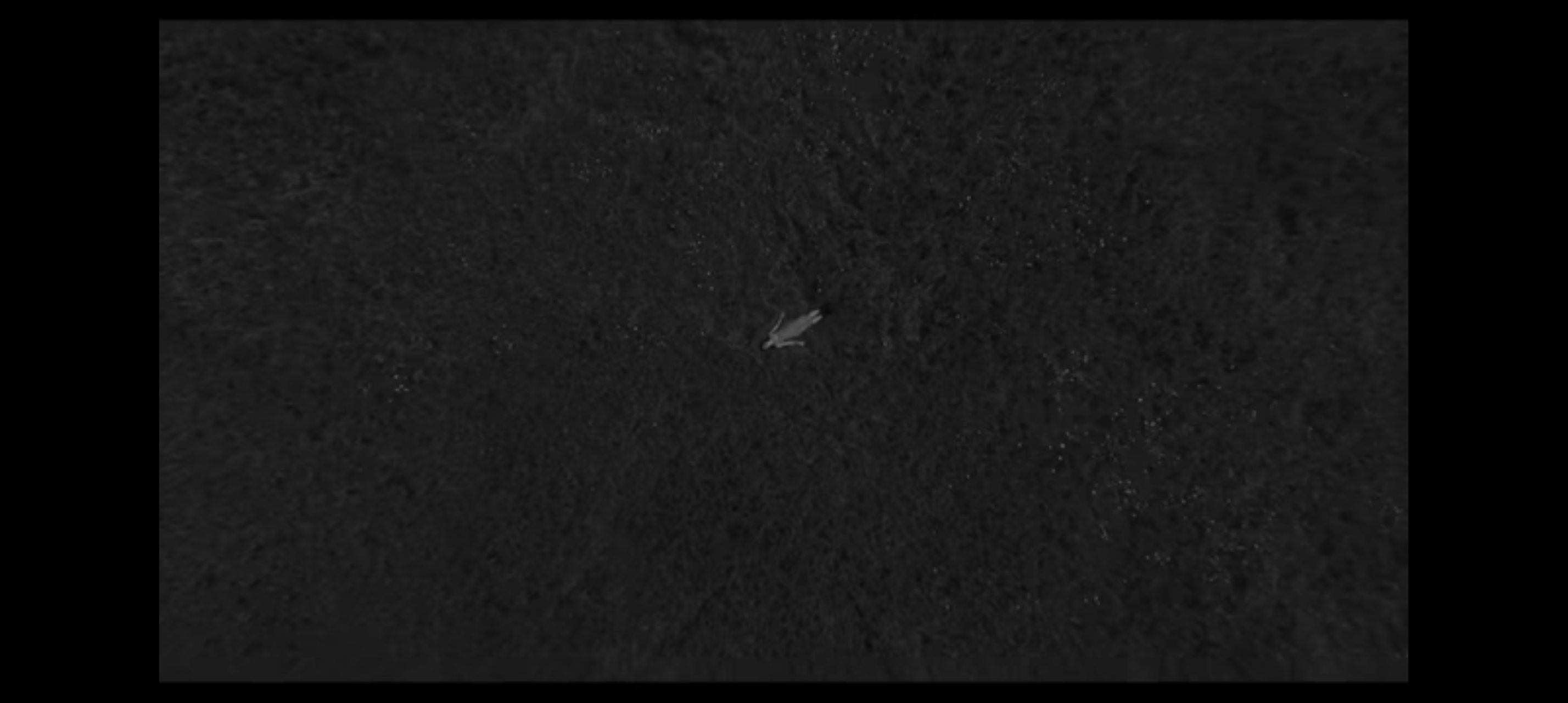 Preview of 013809-png