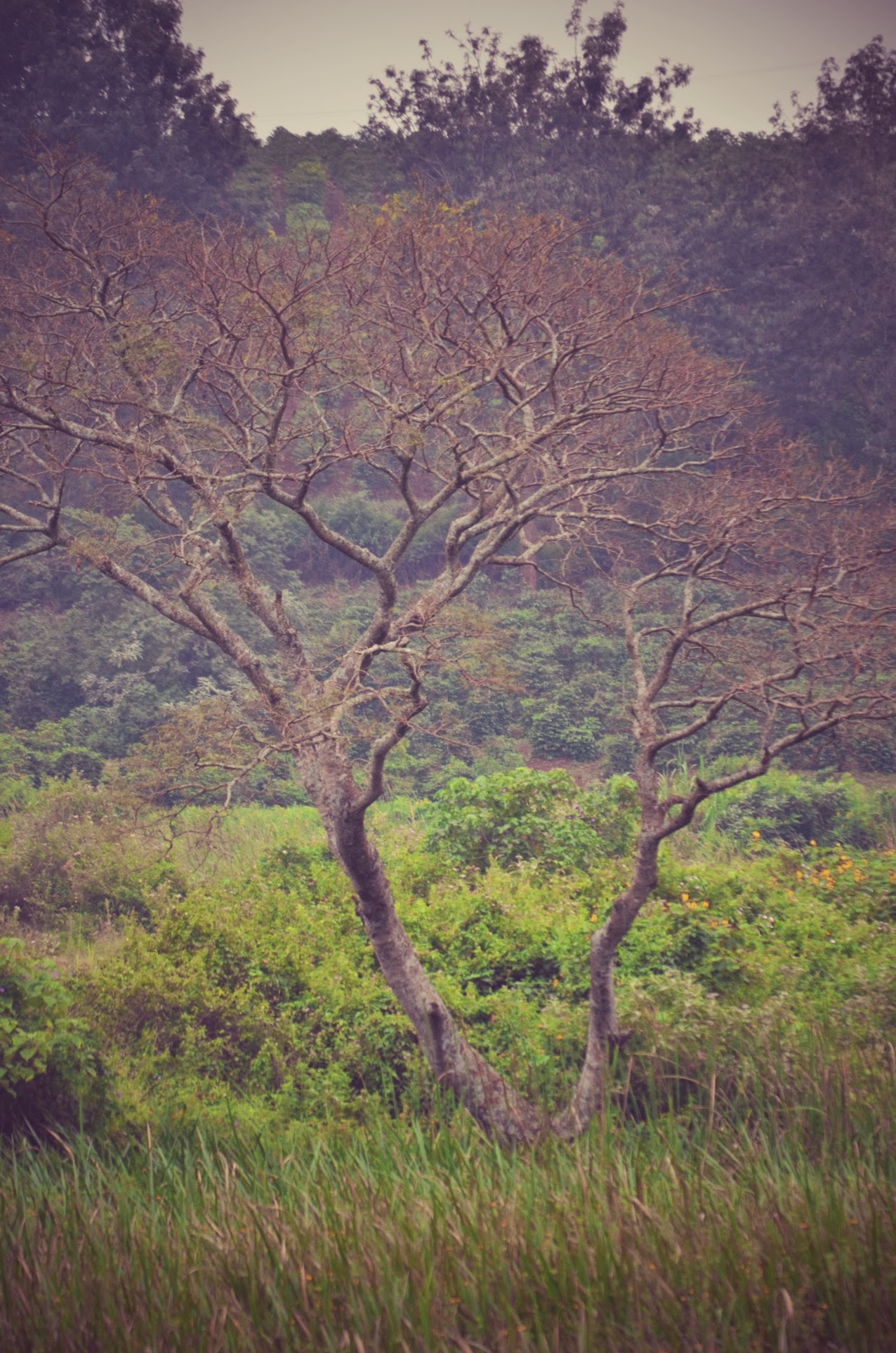 Thumbnail of Being strong is so overrated