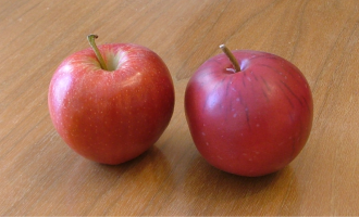 Thumbnail of Simulacrum