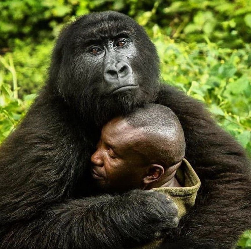 Thumbnail of Found on Cosmos