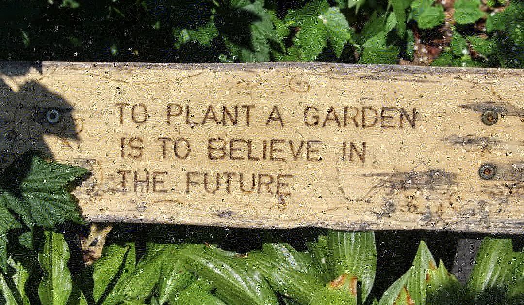 Thumbnail of f8ff6185b3e90ea6e0029b01f324a3c53bd3dbf6.jpg | Are.na