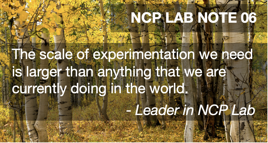 Thumbnail of Lessons from building and supporting an ecosystem to tackle wicked problems — New Capitalism Project