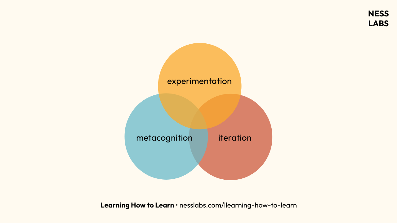 Thumbnail of Learning How to Learn