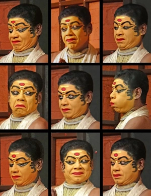 Thumbnail of Bhavas and Rasas in Indian Aesthetics