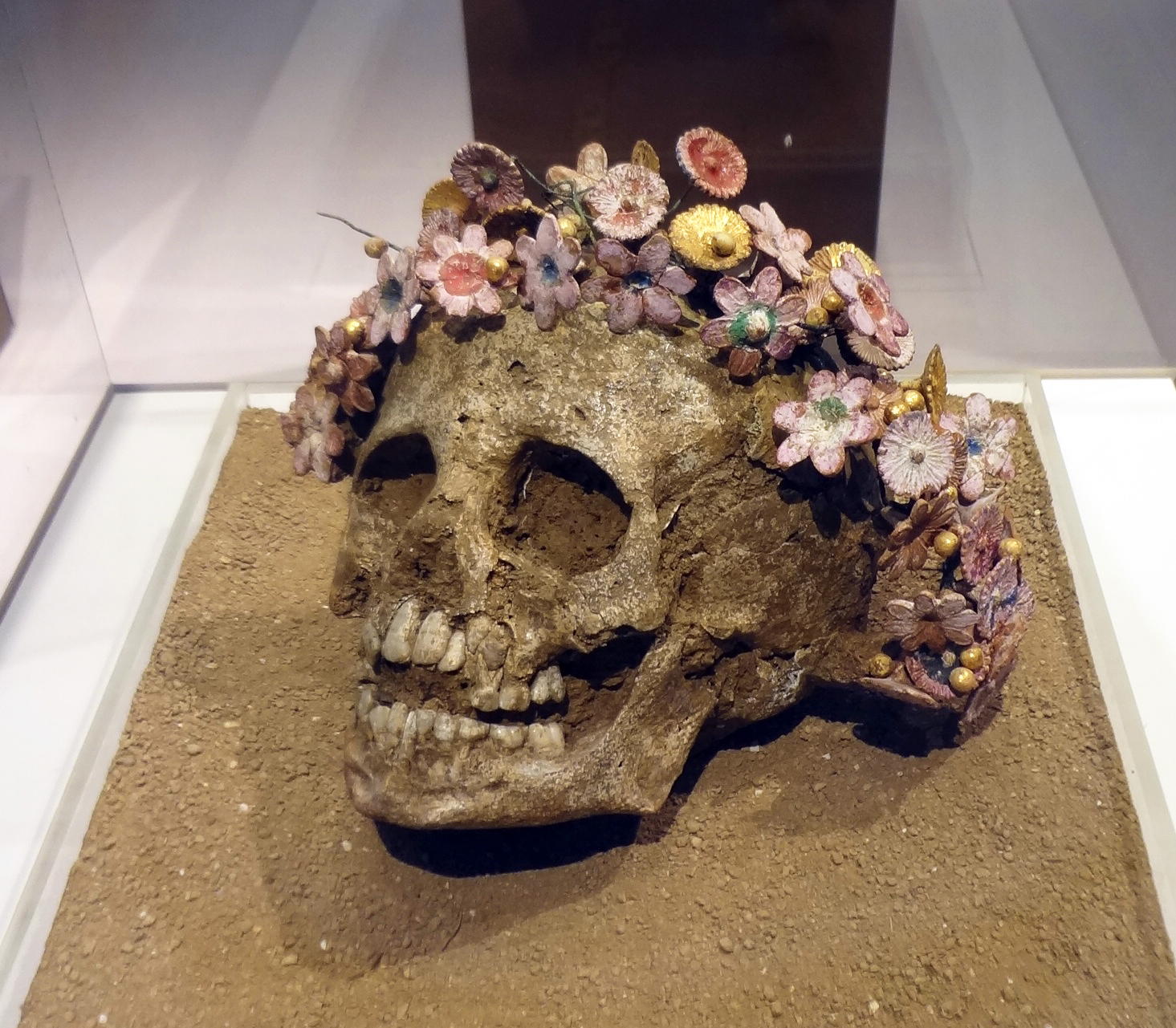 Thumbnail of skull of a girl wearing a ceramic flower wreath - Google Search