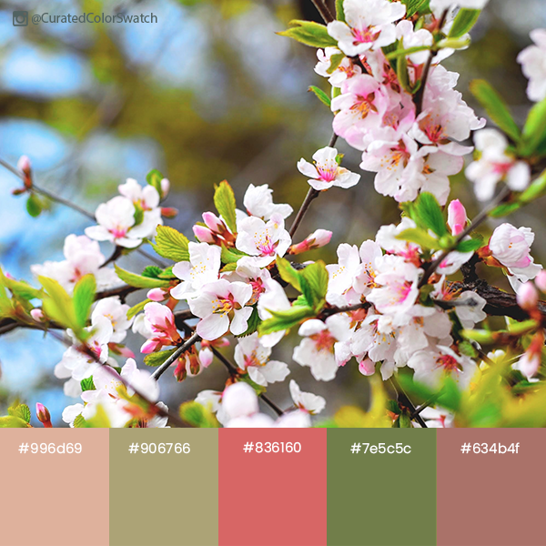 Preview of dogwoodtimgouw-png