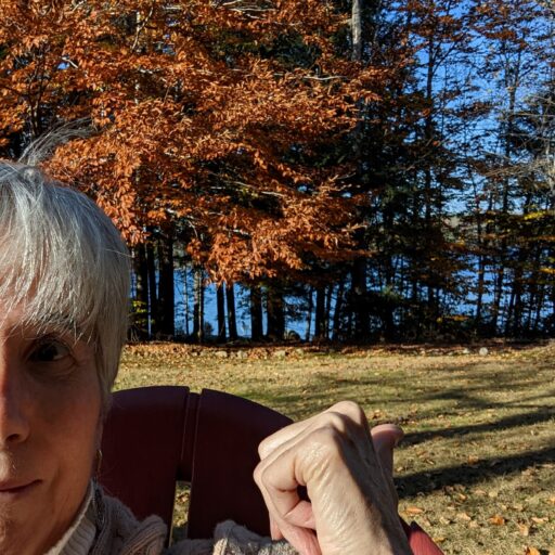 Thumbnail of Log In ‹ Current Seeing — WordPress