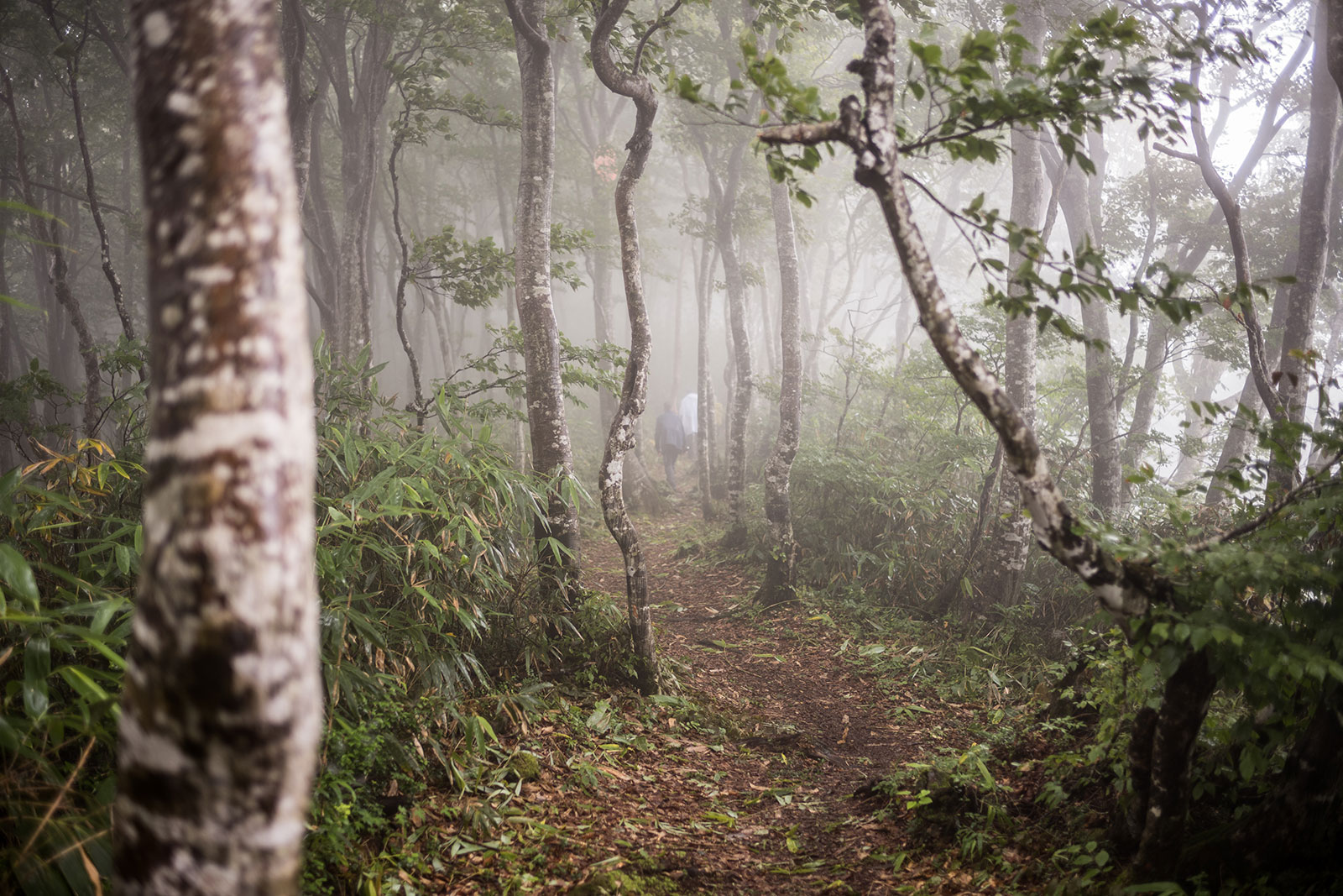 Thumbnail of Craig Mod — Writer + Photographer