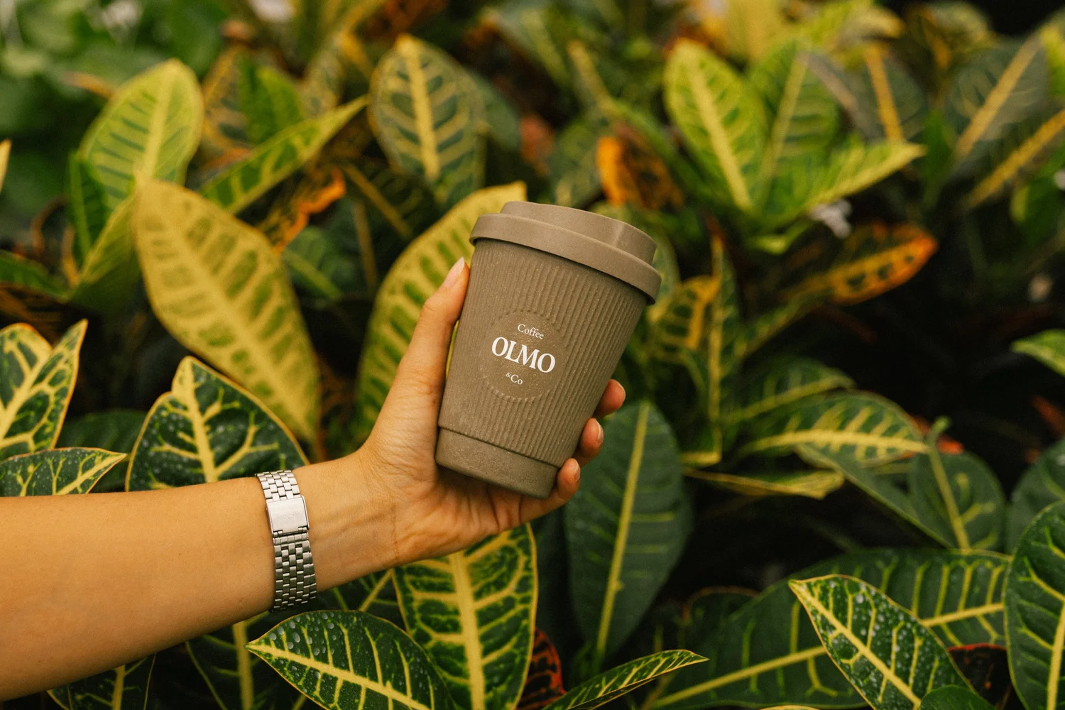 Thumbnail of Olmo: a coffee house nestled in nature — Farelo Studio