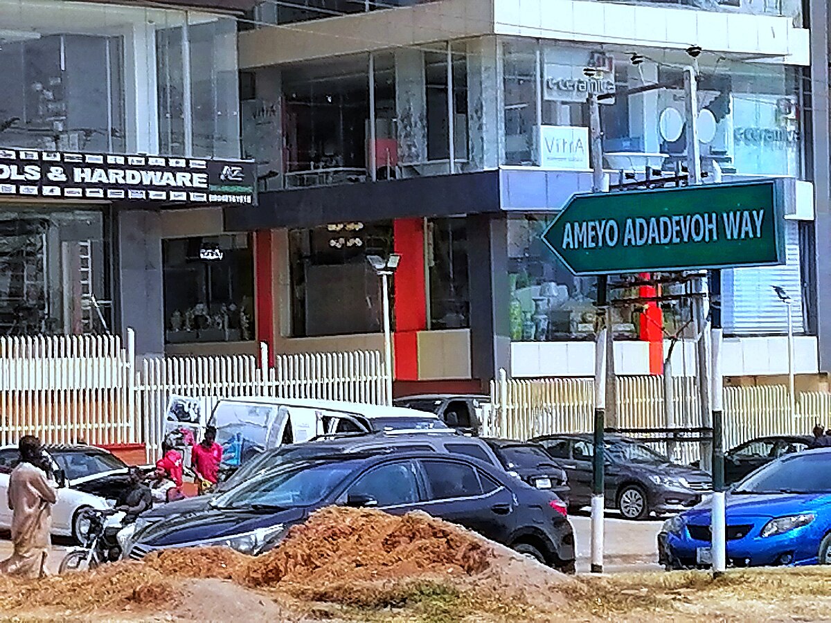 Thumbnail of Ameyo Adadevoh - Wikipedia