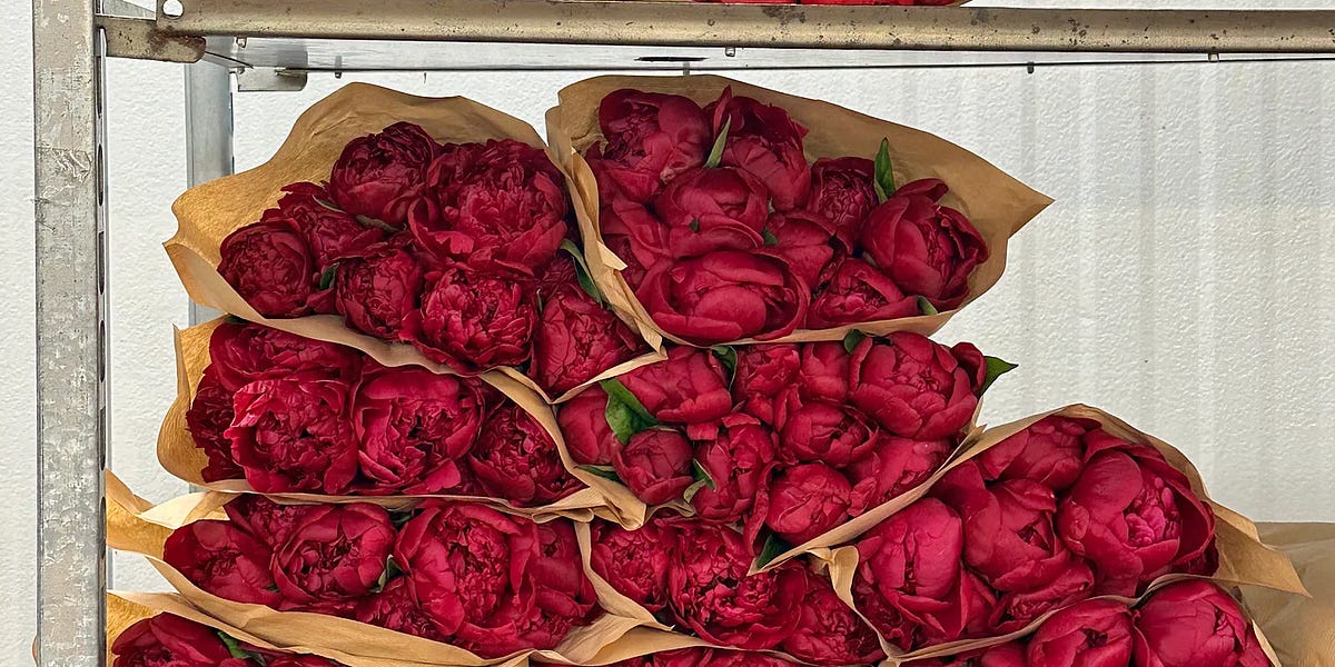 Thumbnail of Thoughts at the New York Flower Market