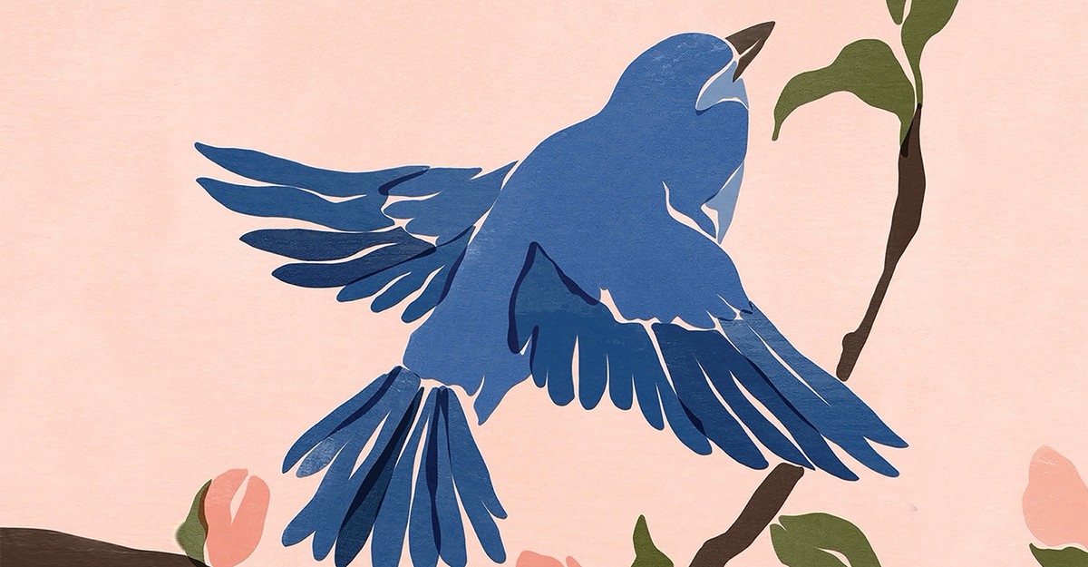 Thumbnail of Why Birds Do What They Do