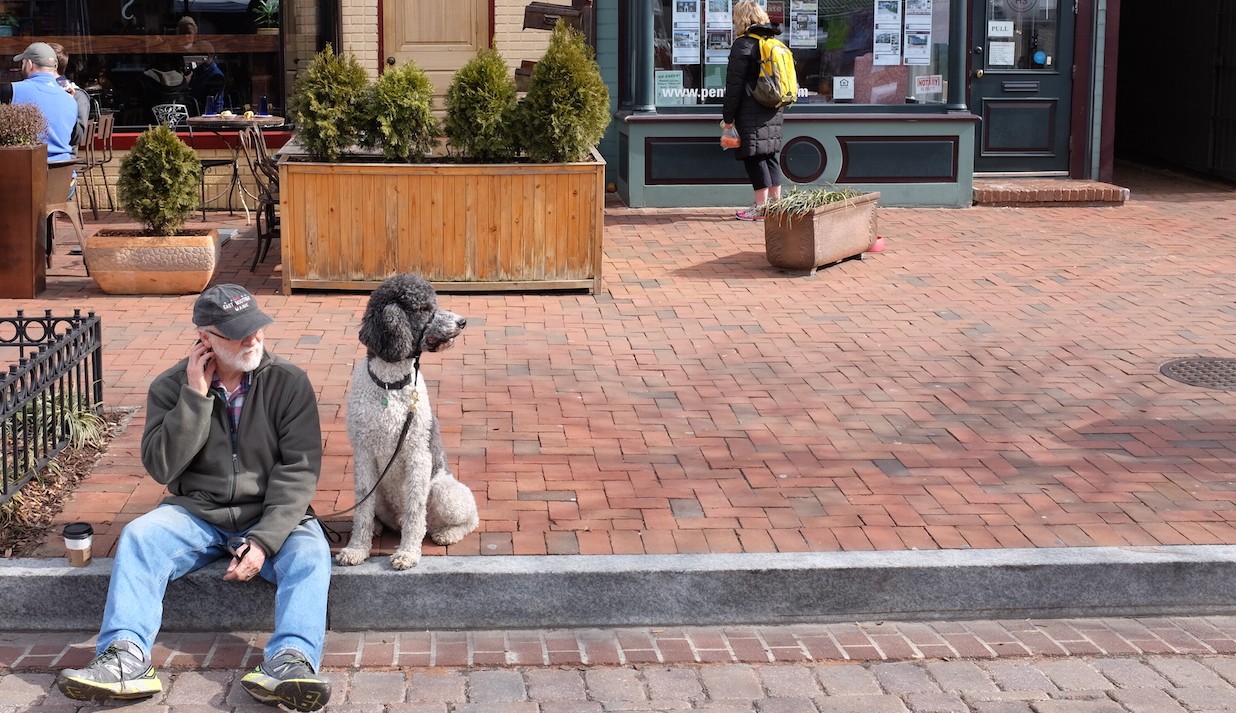 Thumbnail of Placemaking and the Human Scale City