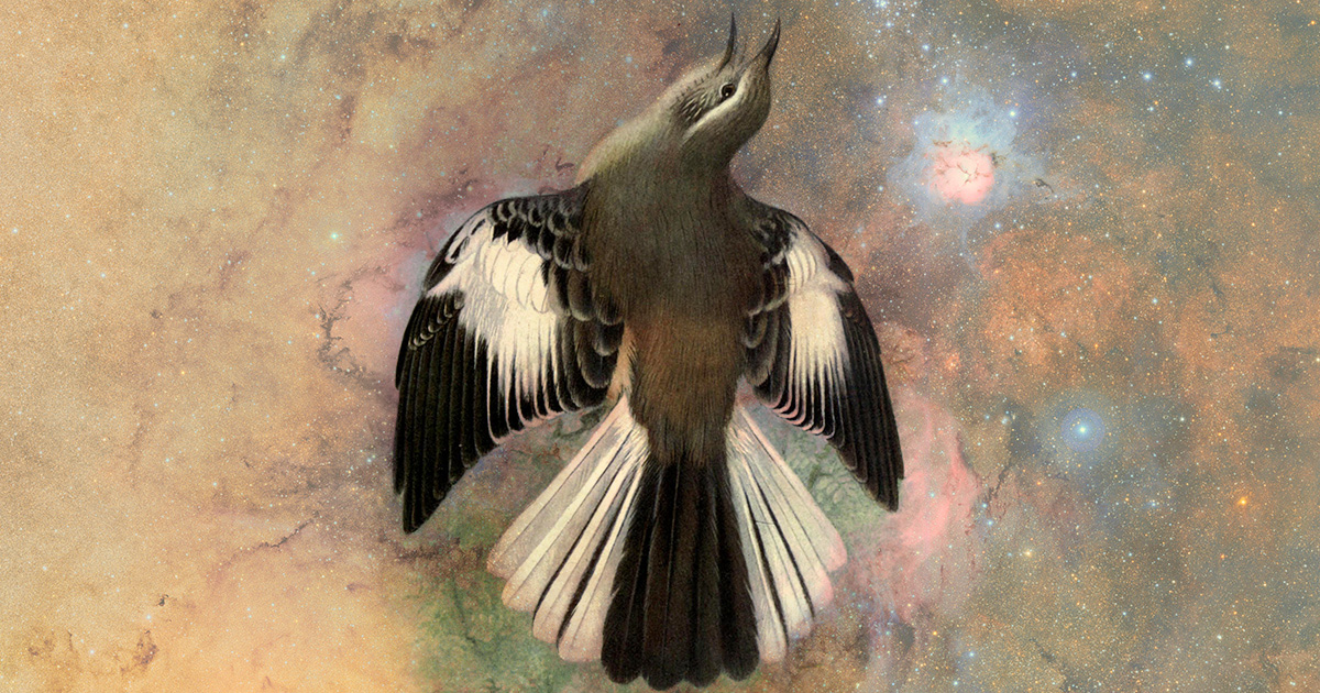 Thumbnail of Uncaging the Bird in the Mind: William Henry Hudson and the Gift of the Ruin of Your Best Laid Plans