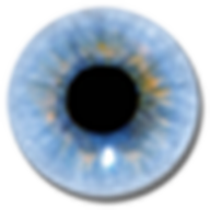 Thumbnail of visuwords.com