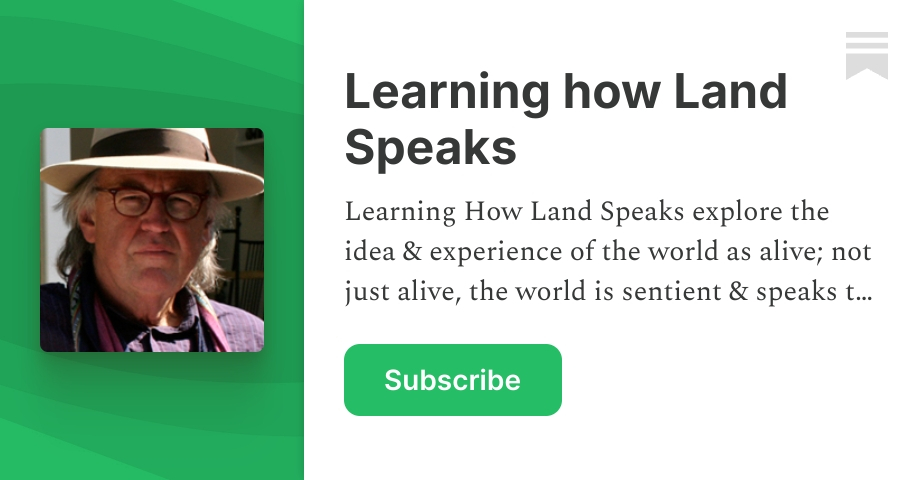 Thumbnail of The Deep Law of the Living Cosmos