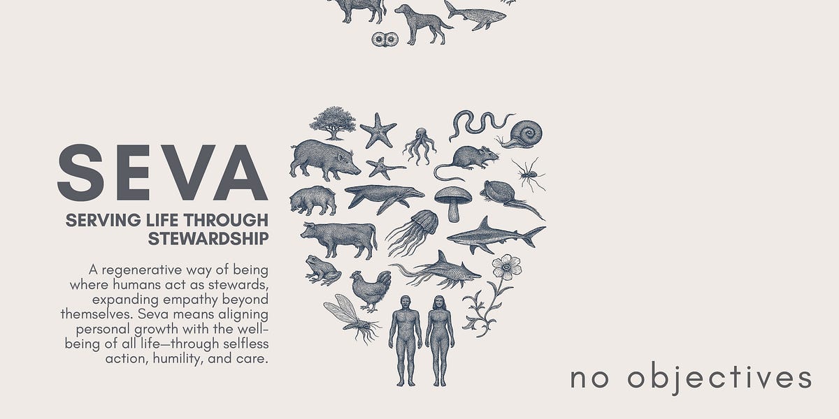 Thumbnail of Wisdom Is the Expansion of Empathy: