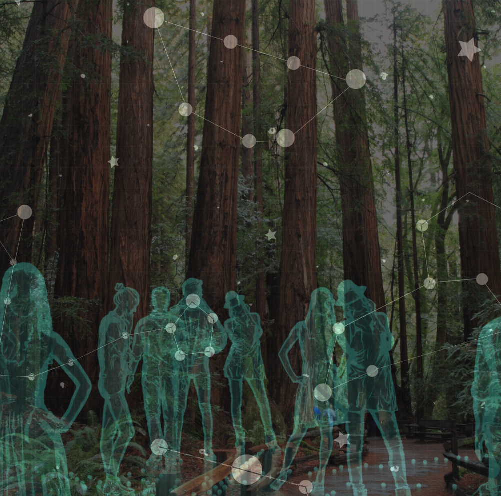 Thumbnail of Quantum Neuro-Holographic Thoughts from a Liminal Space