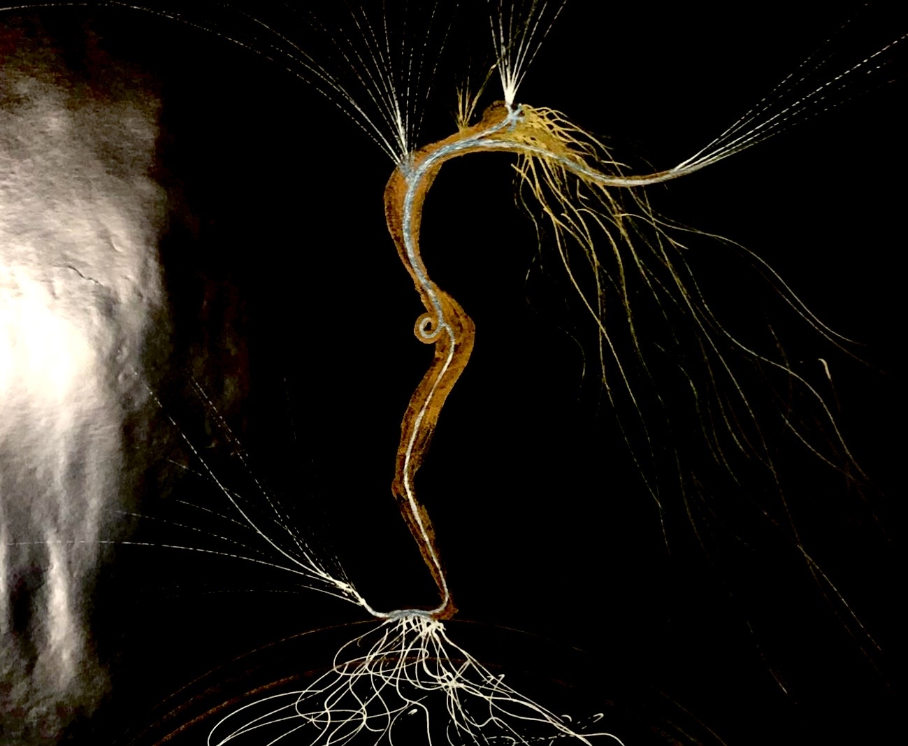 Preview of 59c0750c62f8-jpg