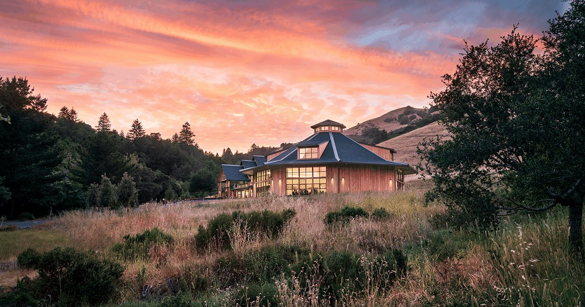 Thumbnail of The Five Aggregates