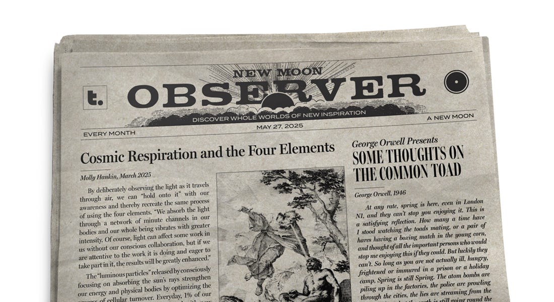 Thumbnail of New Moon Observer