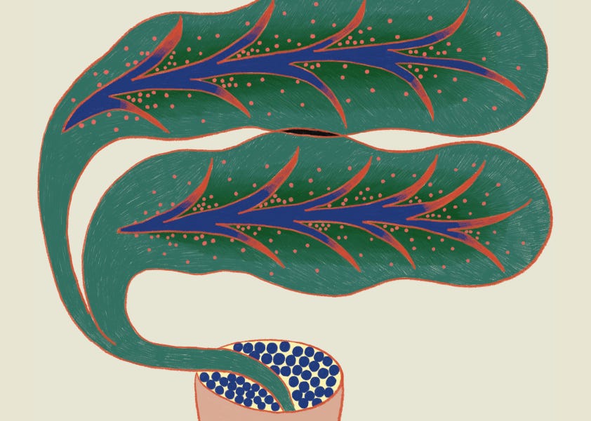 Thumbnail of in praise of slowing down 