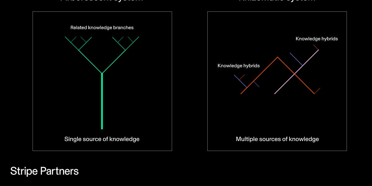 Thumbnail of This month’s Frame: using rhizomatic thinking to unlock new ideas