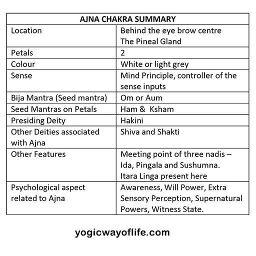 Thumbnail of Ajna Chakra - The Third Eye - Yogic Way of Life