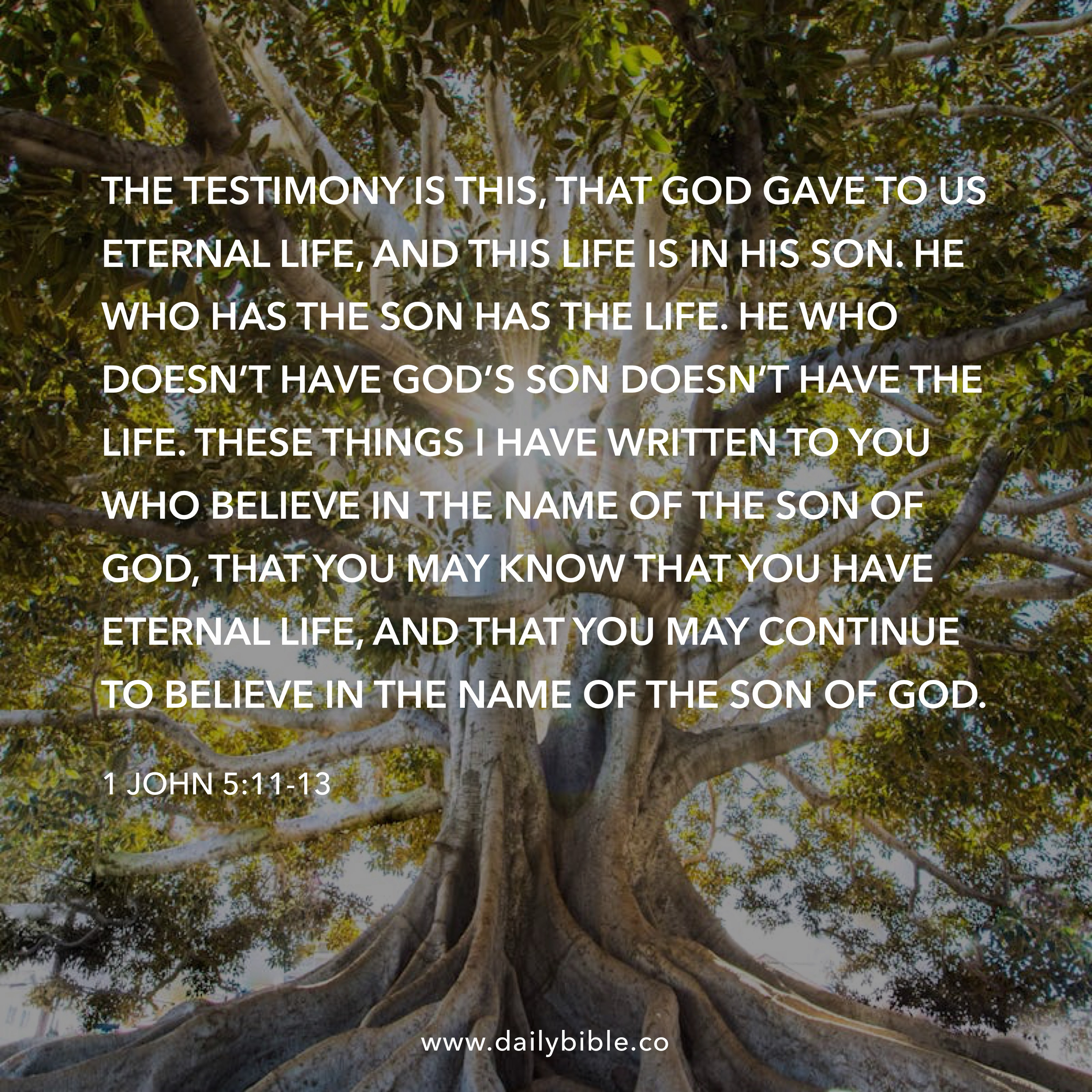 Preview of 768f173c657c-jpg