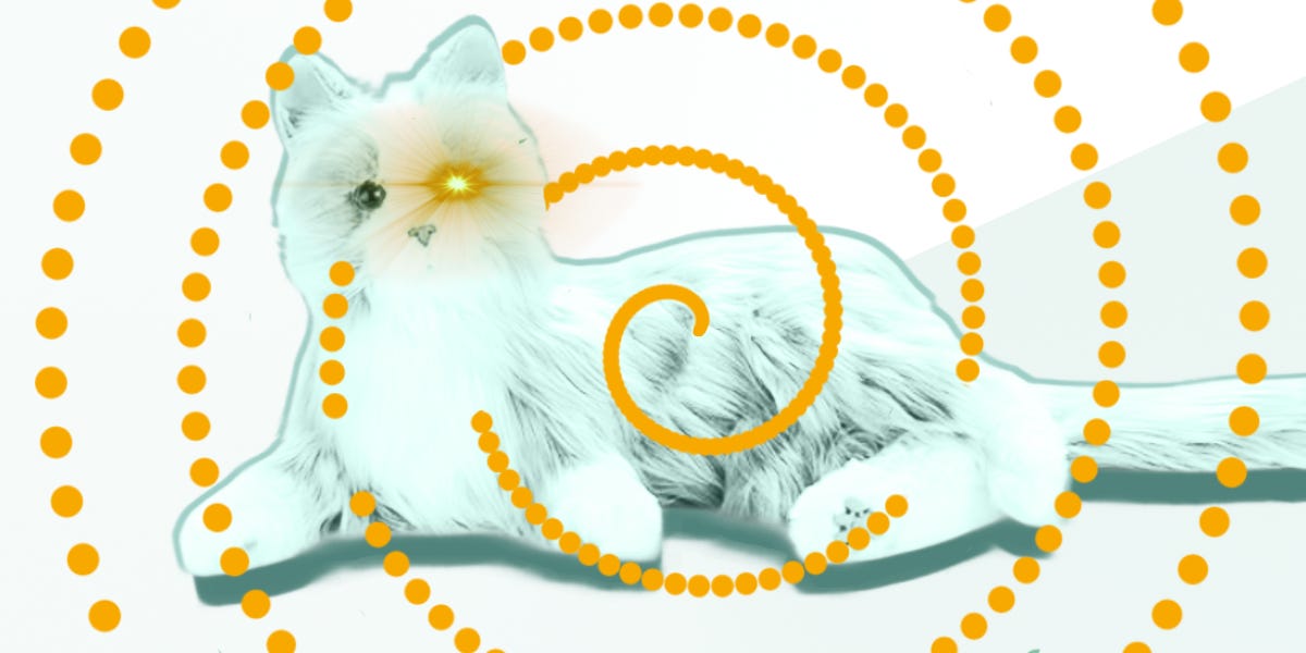 Thumbnail of Surviving AI Psychosis