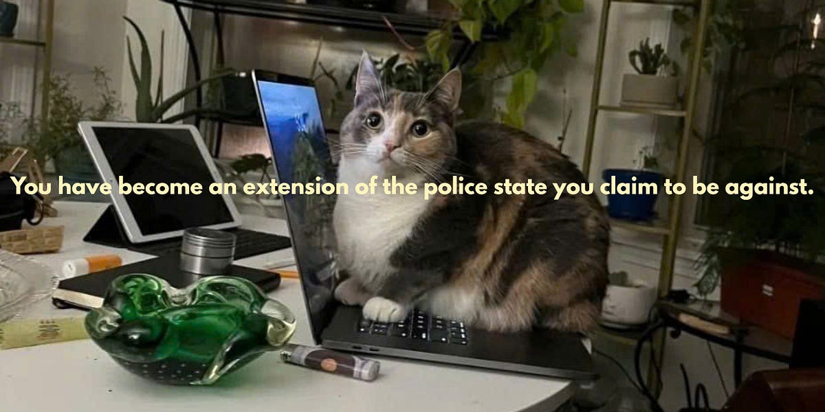 Thumbnail of Some Of You Are Engaging in Cop Behavior.