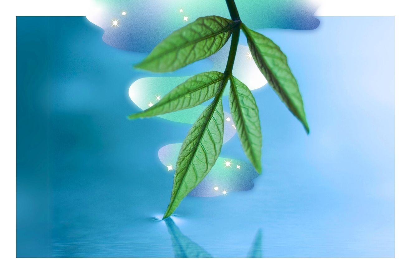 Thumbnail of Eco-Informed Therapy: Psychedelics & Nature in Healing